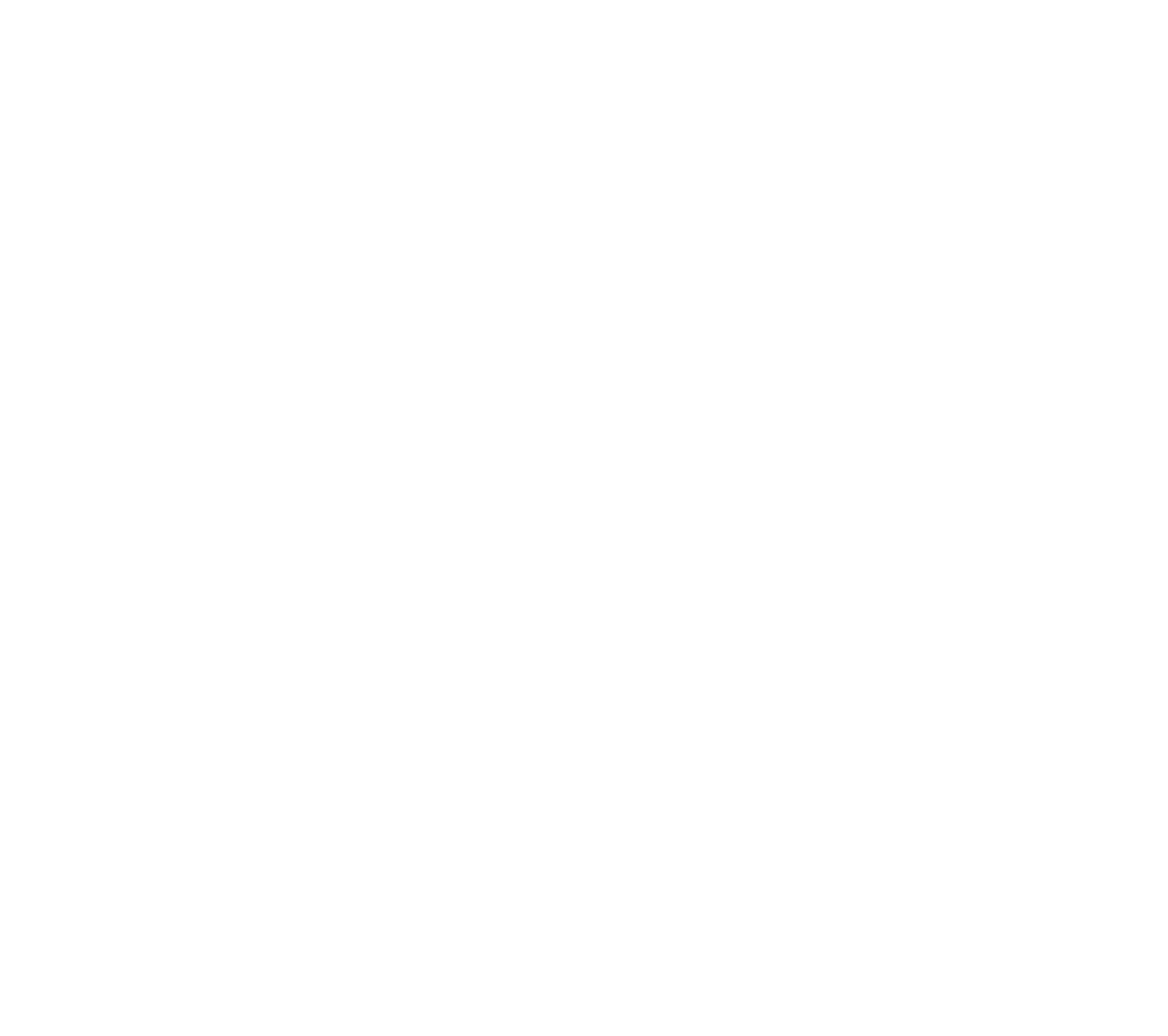 Star mark, white version on dark navy